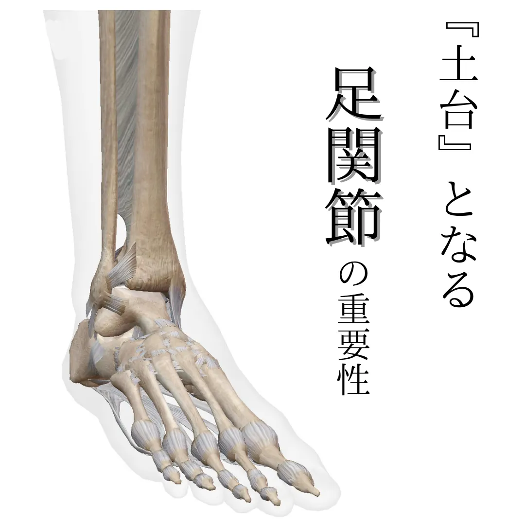 身体の“土台”になる足関節の重要性